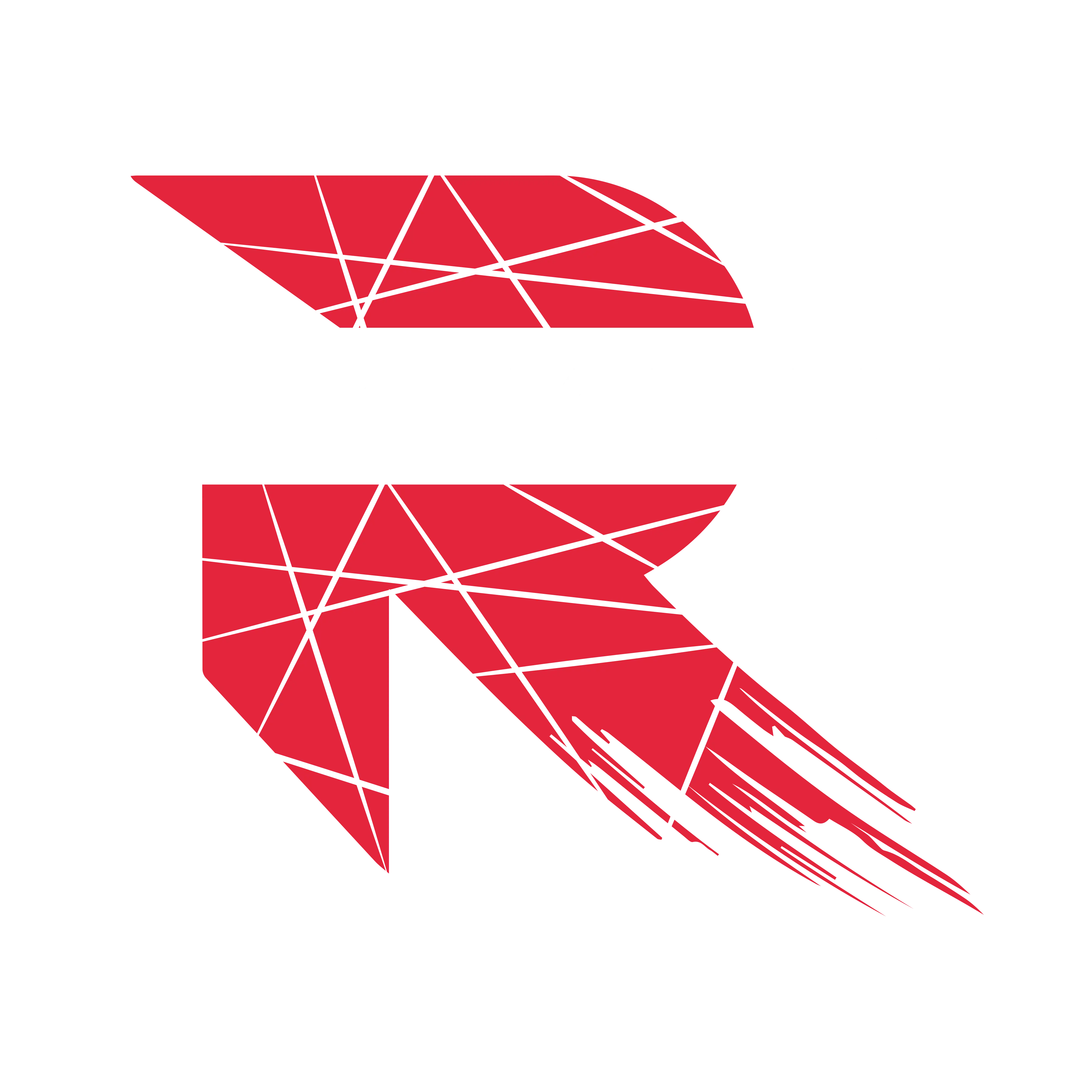 Reckful ®