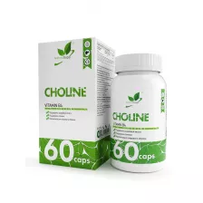 Natural Supp Choline Vitamin B4 60 капс